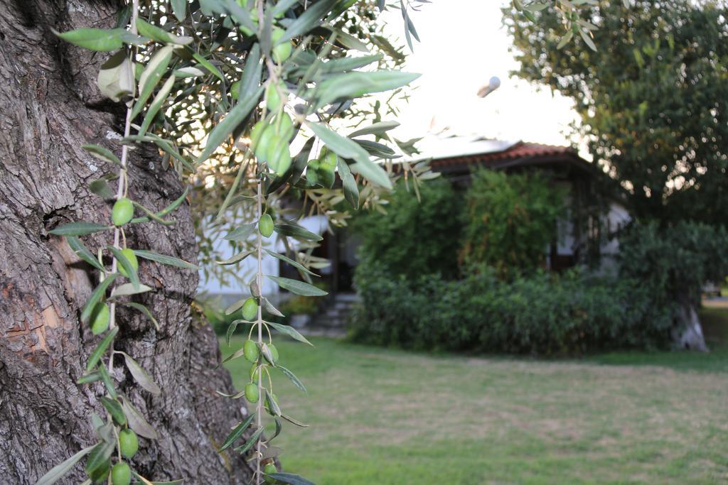 Patroudis House Apartment Skala Rachoni  Luaran gambar