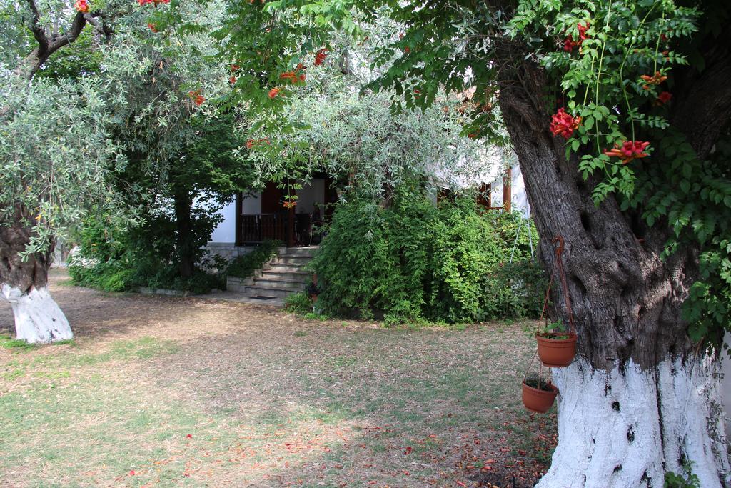 Patroudis House Apartment Skala Rachoni  Bilik gambar