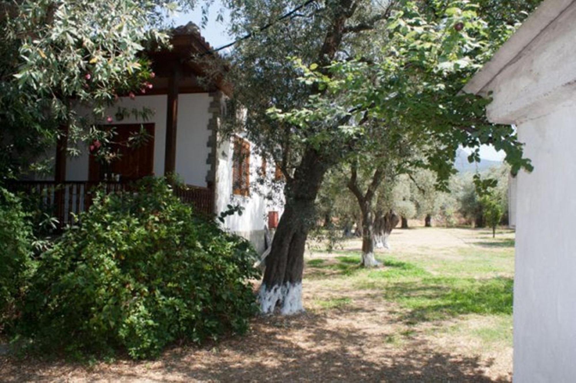 Patroudis House Apartment Skala Rachoni  Luaran gambar